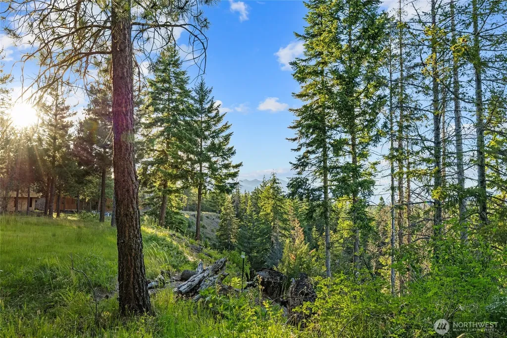 39 Gold Leaf Lane Cle Elum WA 98922