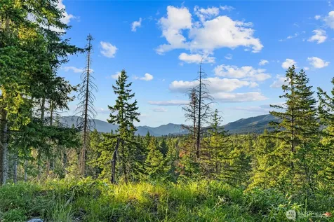 39 Gold Leaf Lane Cle Elum WA 98922