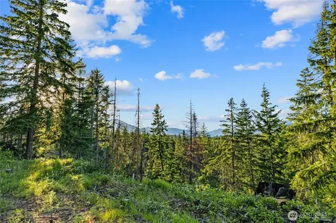 39 Gold Leaf Lane Cle Elum WA 98922