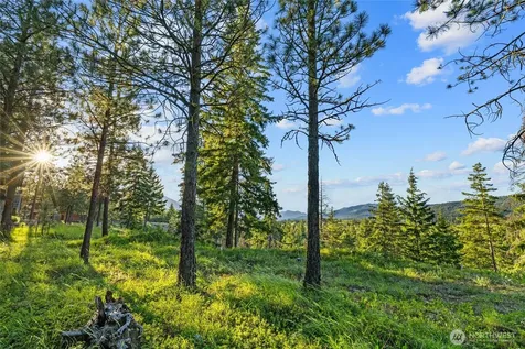 39 Gold Leaf Lane Cle Elum WA 98922