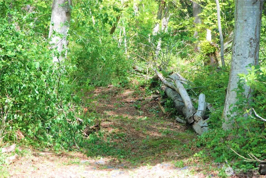 11 Koehn Road Blaine WA 98230