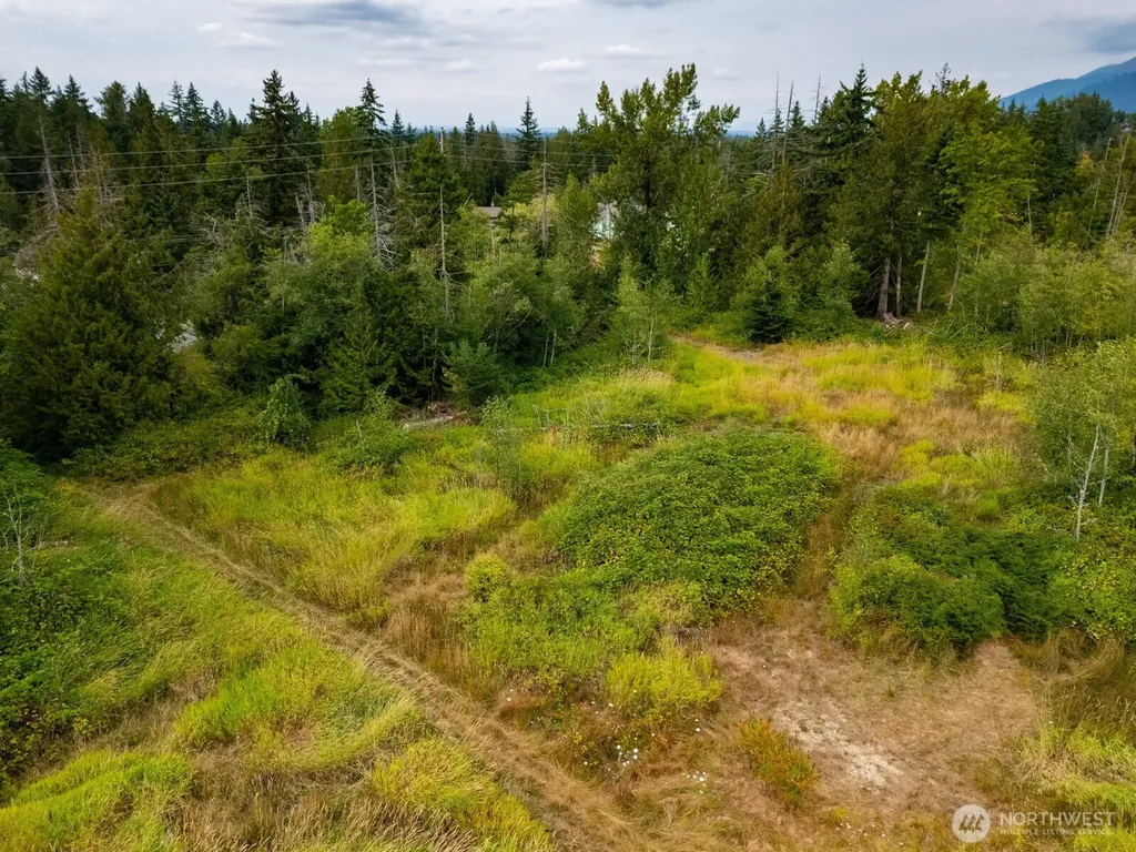 3100 Mount Baker Highway Bellingham WA 98226