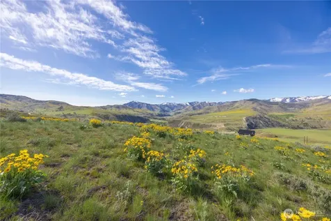 1 Terrace View Short Plat Methow WA 98834