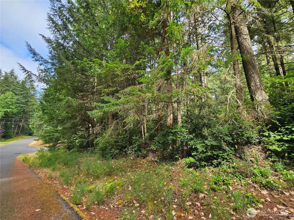 9325 123rd Avenue Anderson Island WA 98303