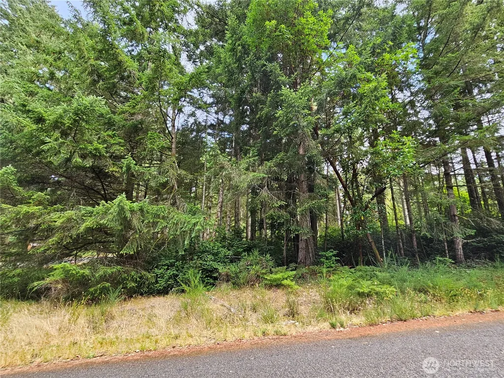 9325 123rd Avenue Anderson Island WA 98303