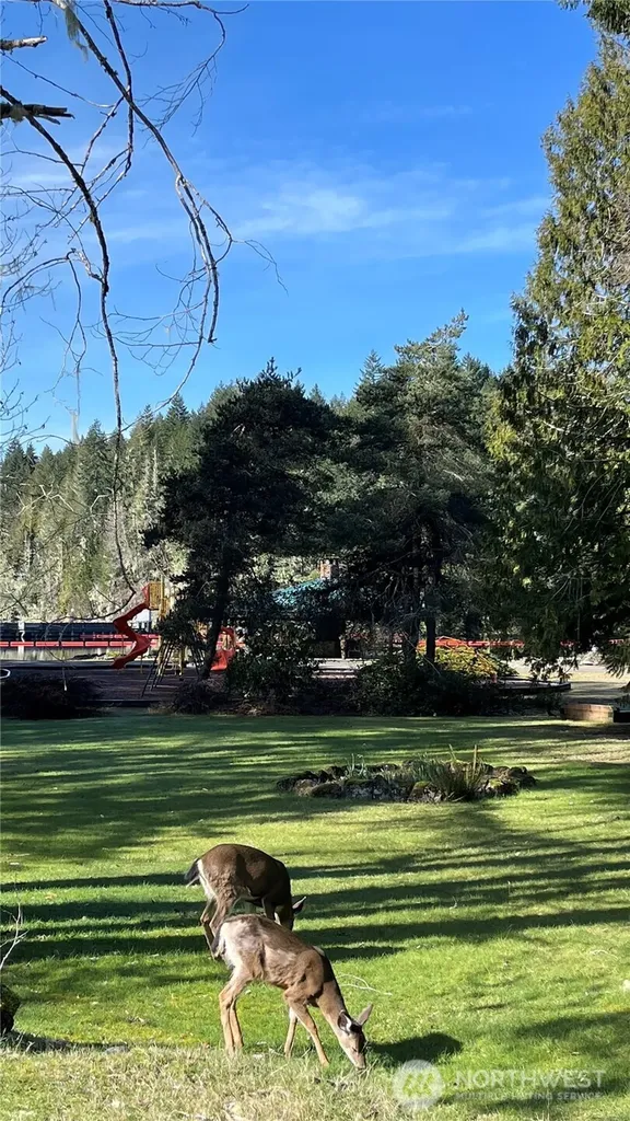 81 N Duckabush Drive E Hoodsport WA 98548