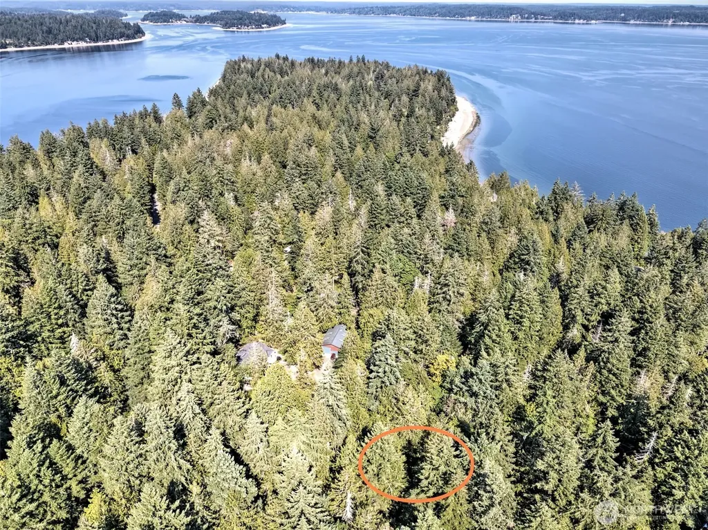 639 E Pitcairn Place Shelton WA 98584