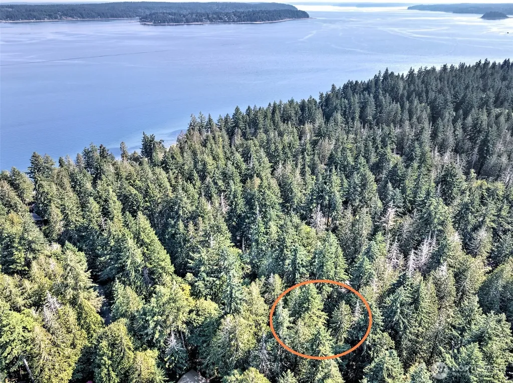 639 E Pitcairn Place Shelton WA 98584