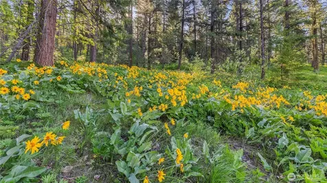25 Foxridge Lane Leavenworth WA 98826