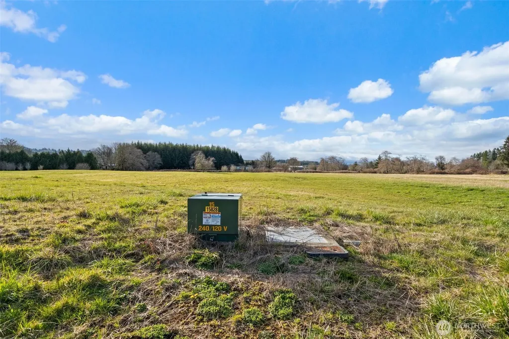 0 Lilly Wheaton Road Raymond WA 98577