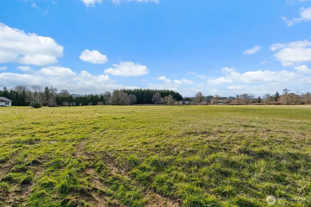 0 Lilly Wheaton Road Raymond WA 98577