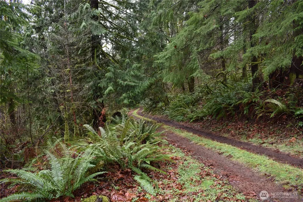 15327 May Creek Road Gold Bar WA 98251