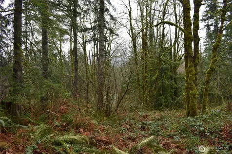 15327 May Creek Road Gold Bar WA 98251