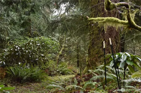 15327 May Creek Road Gold Bar WA 98251