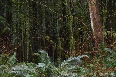 15327 May Creek Road Gold Bar WA 98251
