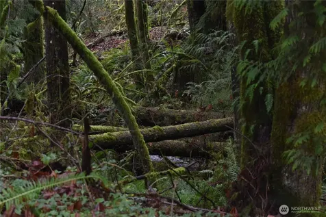 15327 May Creek Road Gold Bar WA 98251