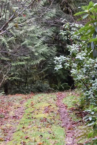 15327 May Creek Road Gold Bar WA 98251