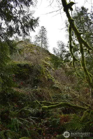15327 May Creek Road Gold Bar WA 98251