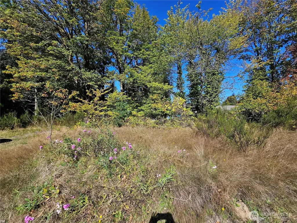 22550 NE Sr-3 Highway Belfair WA 98528