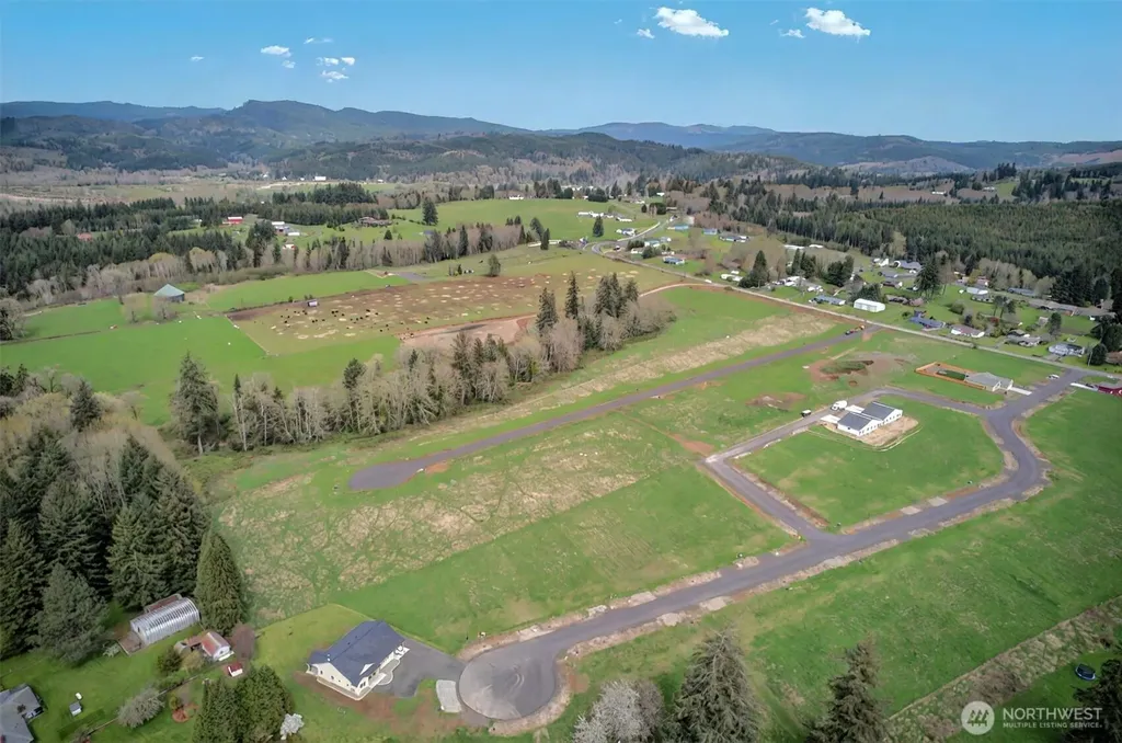 29 Ma'uka Nani Drive Cathlamet WA 98612