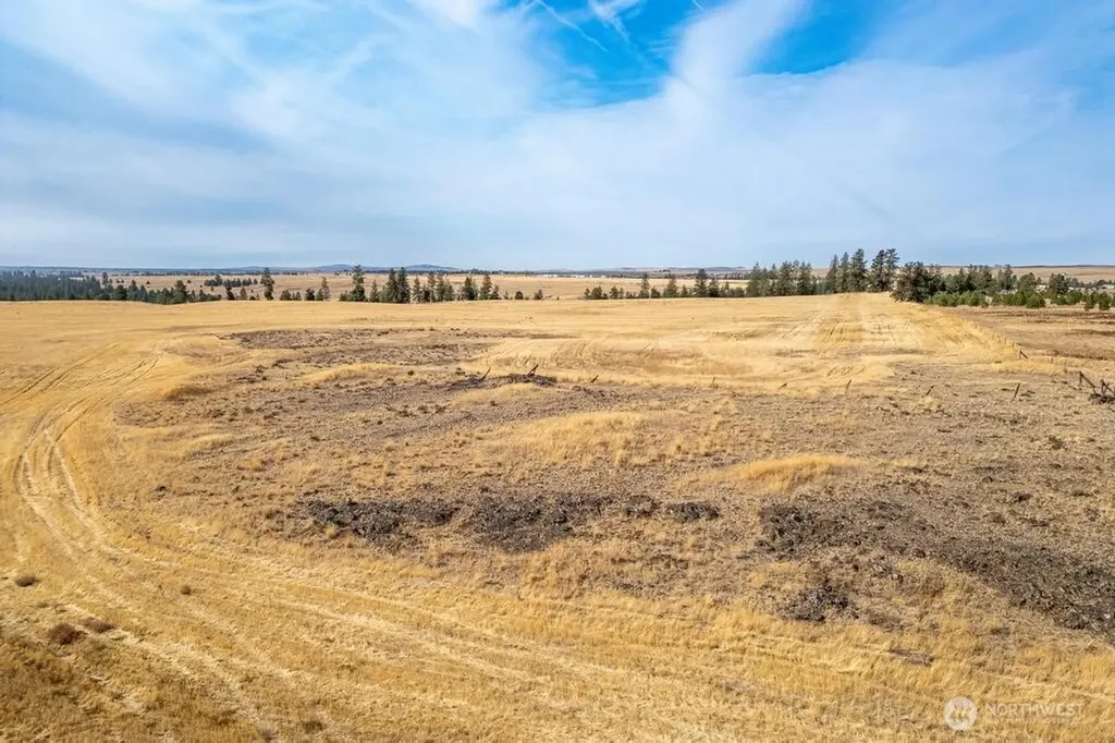 1000 N Christensen Medical Lake WA 99022