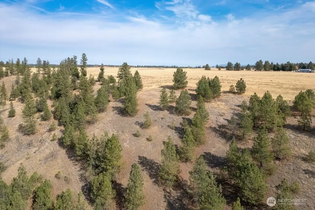 1000 N Christensen Medical Lake WA 99022