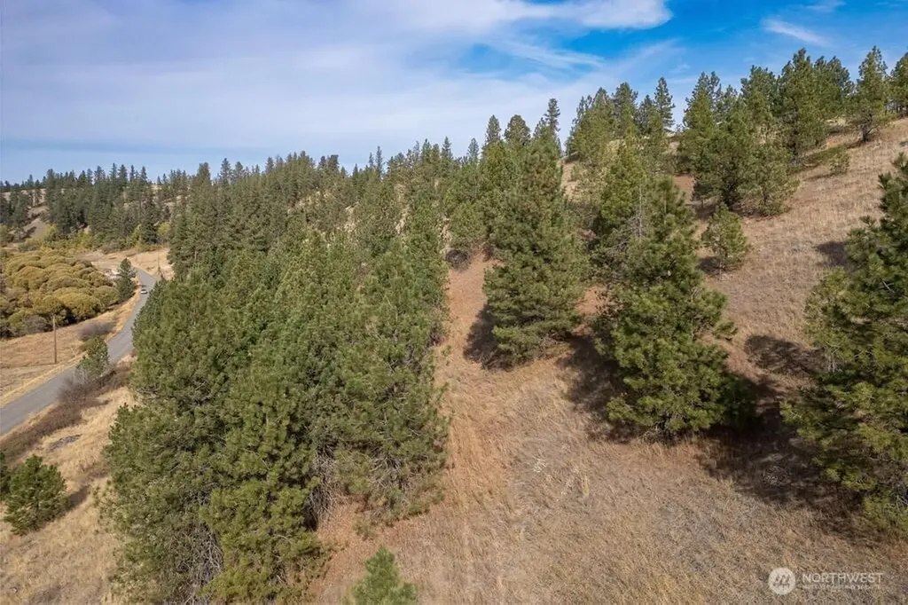 1000 N Christensen Medical Lake WA 99022