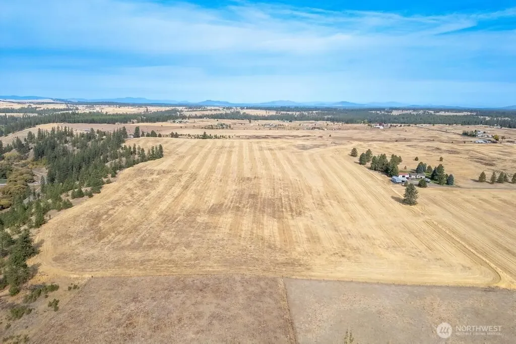 1000 N Christensen Medical Lake WA 99022