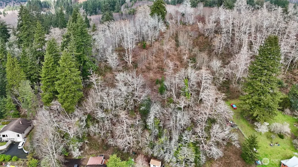 0 Grove Avenue Raymond WA 98577