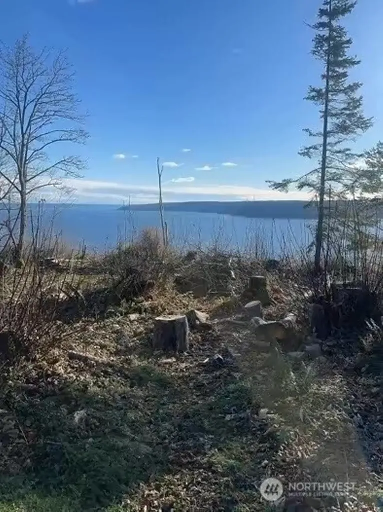 0 S Camano Drive Camano Island WA 98282