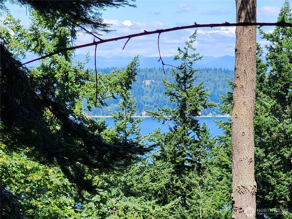 4076 Preserve Drive Camano Island WA 98282
