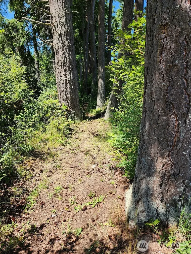 4076 Preserve Drive Camano Island WA 98282