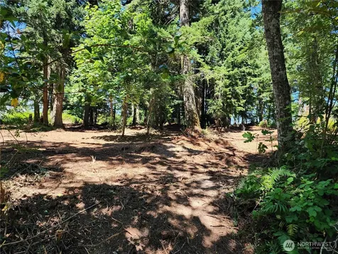 4076 Preserve Drive Camano Island WA 98282