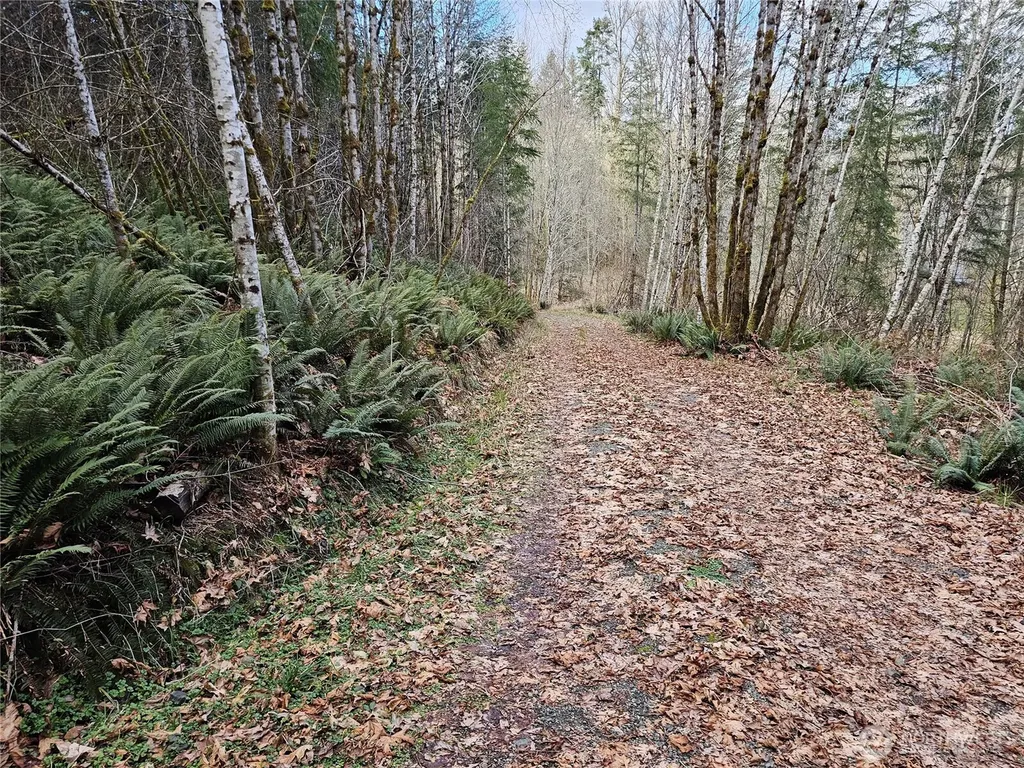 3017 Graf Road Centralia WA 98531