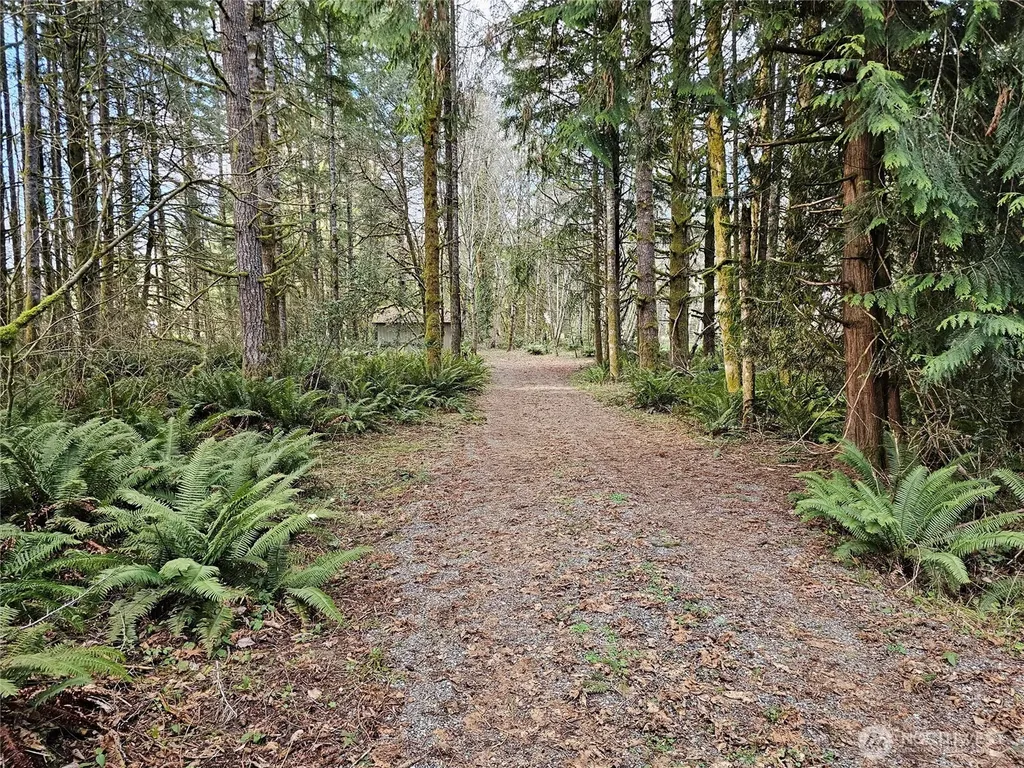 3017 Graf Road Centralia WA 98531