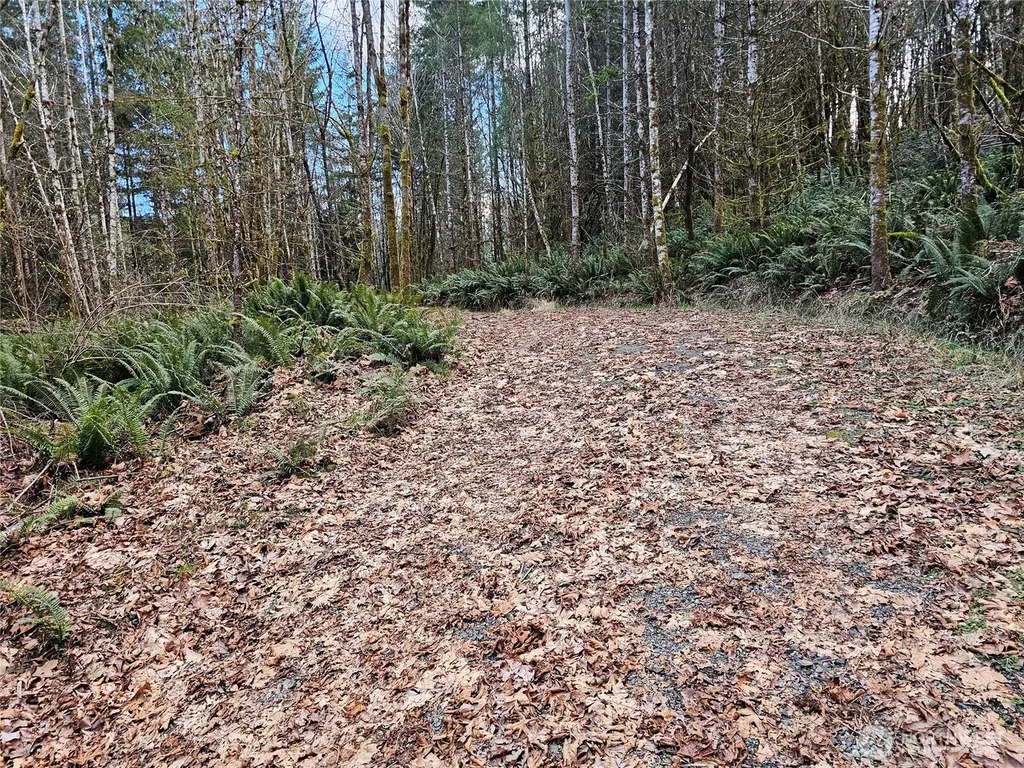 3017 Graf Road Centralia WA 98531