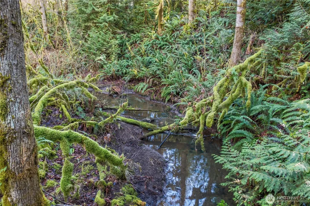 0 Van Wyck Bellingham WA 98226