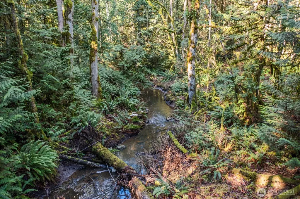 0 Van Wyck Bellingham WA 98226