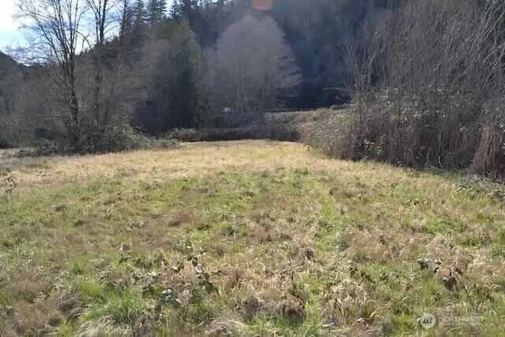 0 Us Highway 12 Morton WA 98356