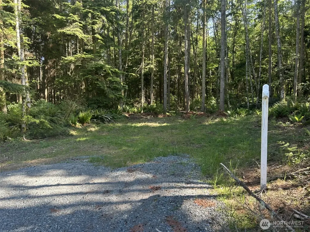 0 Forest View Lane Greenbank WA 98253