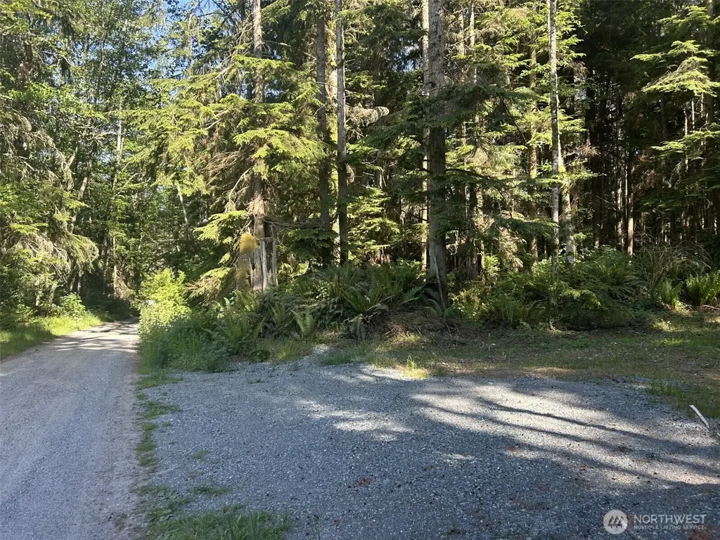 0 Forest View Lane Greenbank WA 98253