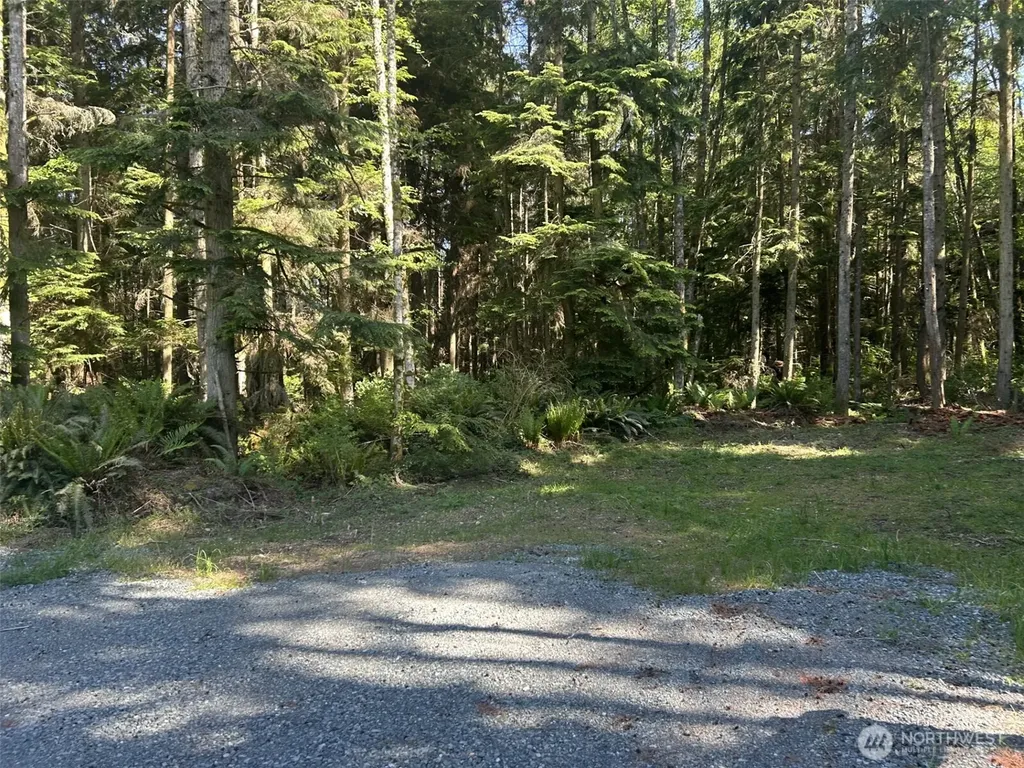 0 Forest View Lane Greenbank WA 98253