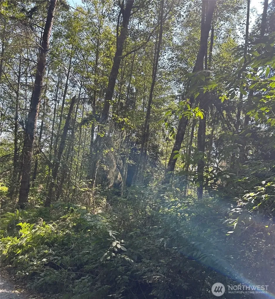 0 Forest View Lane Greenbank WA 98253