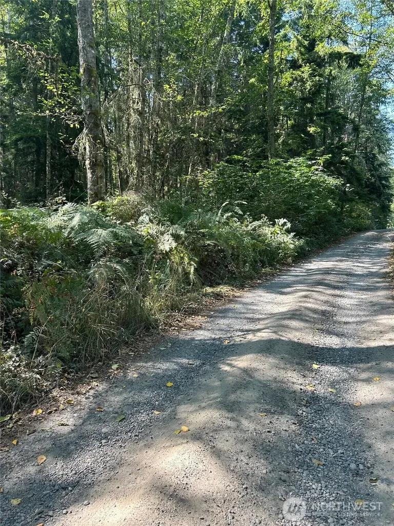 0 Forest View Lane Greenbank WA 98253