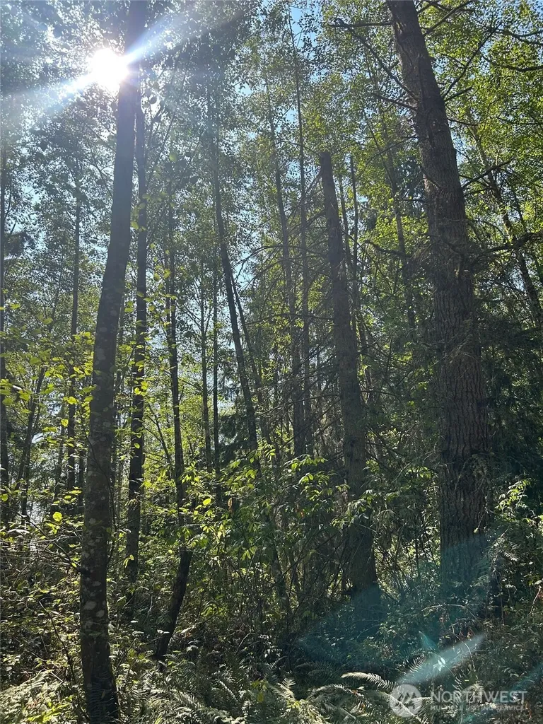 0 Forest View Lane Greenbank WA 98253