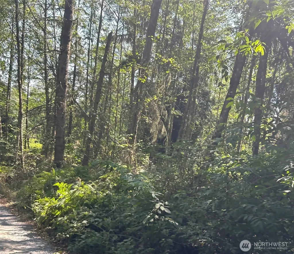 0 Forest View Lane Greenbank WA 98253