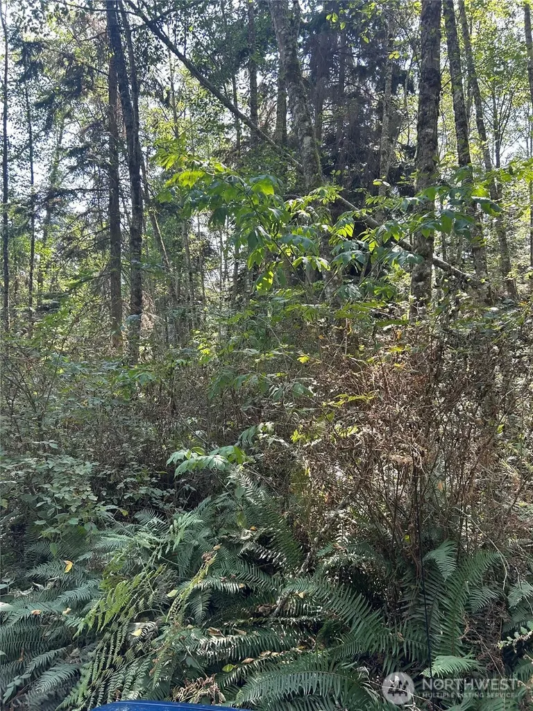 0 Forest View Lane Greenbank WA 98253