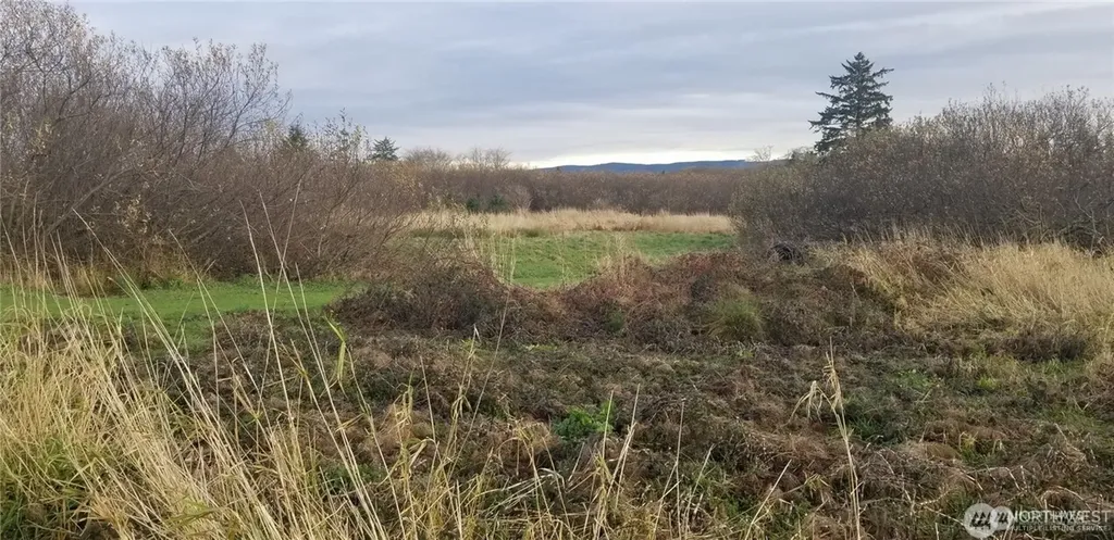 254 Stringtown Road Ilwaco WA 98624