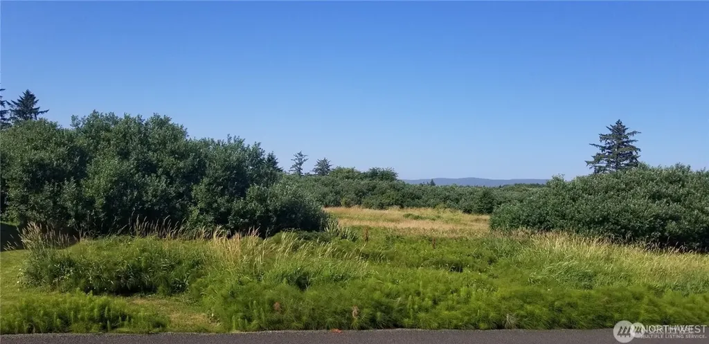 254 Stringtown Road Ilwaco WA 98624