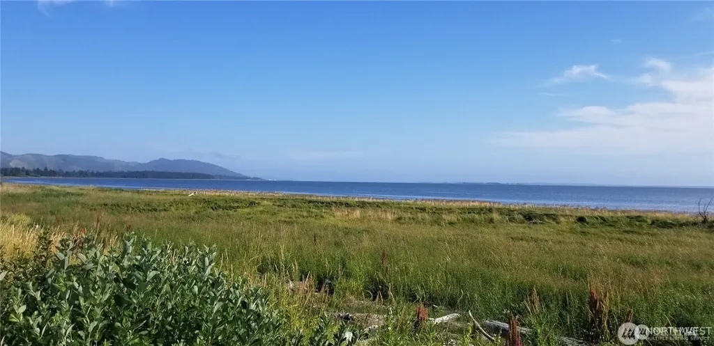 254 Stringtown Road Ilwaco WA 98624